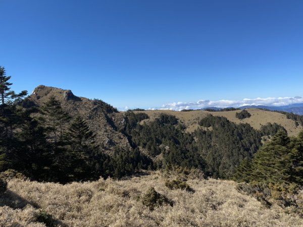 20250104-05 向陽縱走魔保來溪頭山出關山嶺山2683516