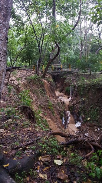 難得的登山體驗宛如明天過後441181