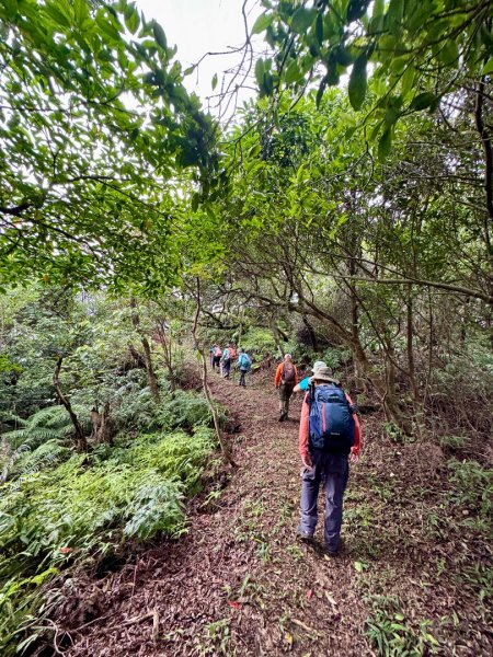 大武崙情人湖公園走瑪鋉山3075055