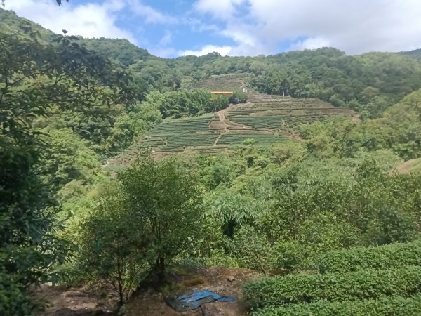 坪林區九芎坑古道+九芎坑圳沽古道+大舌湖山大小O型2845663