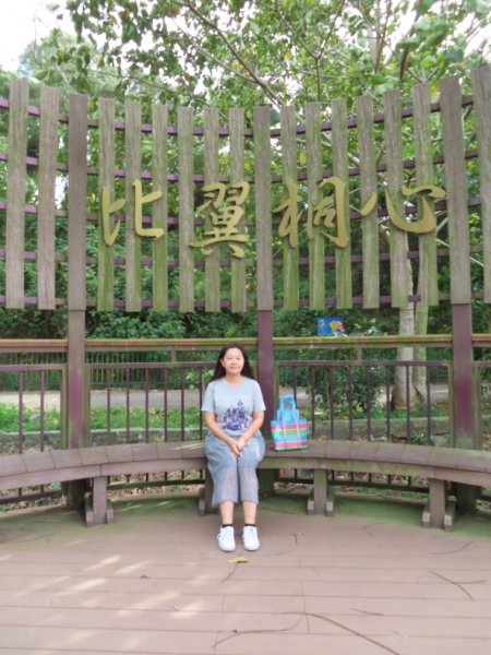 水流東桐花步道1900284