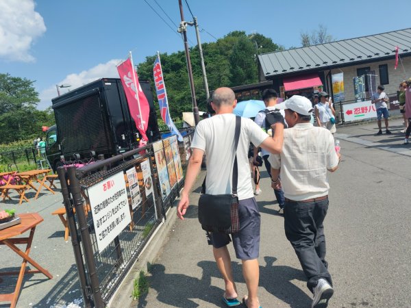 忍野八海3089727