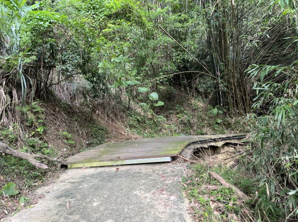 [皮皮獅Hike客任務-10/10] 2024_0831 十二寮古道2586600