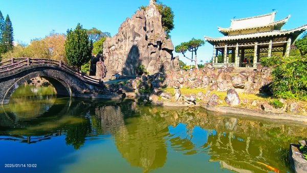 雙溪公園賞花&原住民公園落羽松&故宮1/142689938