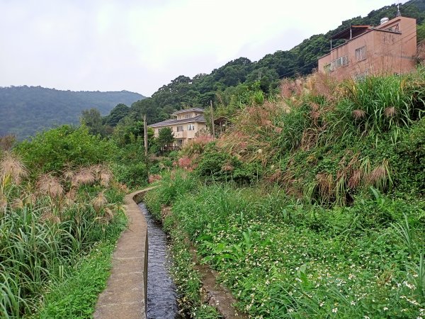 樂活遨遊坪頂古圳步道→荷蘭古道→高頂山→北五指山→頂山→風櫃嘴→天溪園→聖人橋1509518