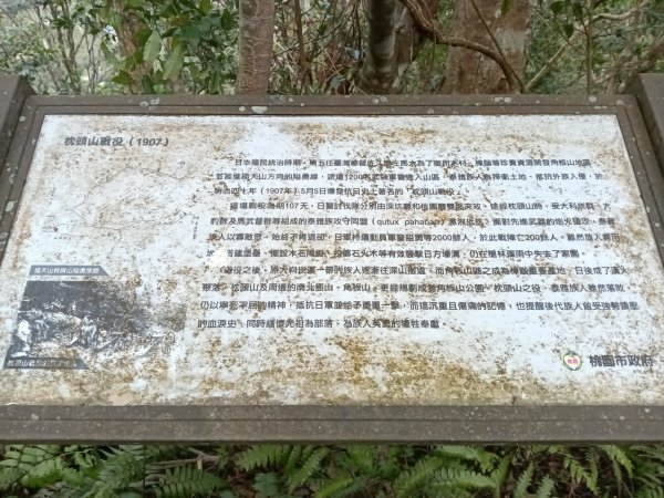 枕頭山-枕頭山西峰2733964