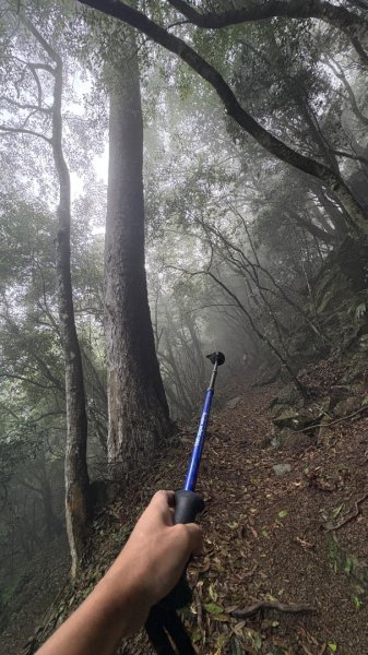 加里山3042795