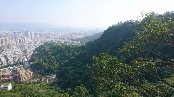 四獸山連走(象-獅-豹-虎)295028