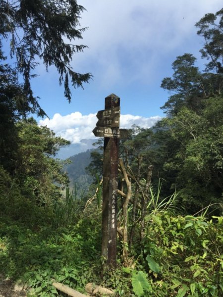 北大武山，雲海的故鄉447463