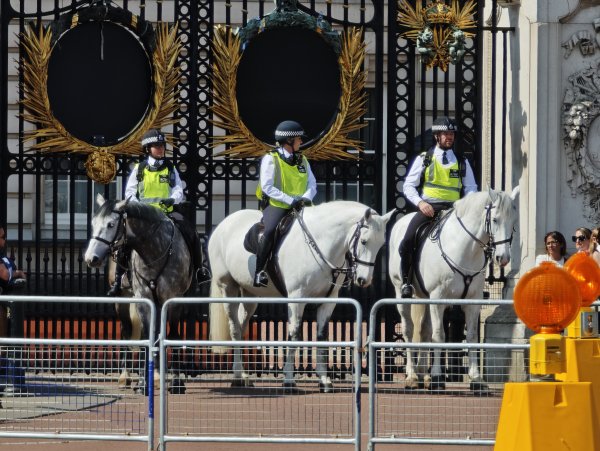 2025_0428 倫敦馬拉松順遊西歐 D10b(白金漢宮)2795192