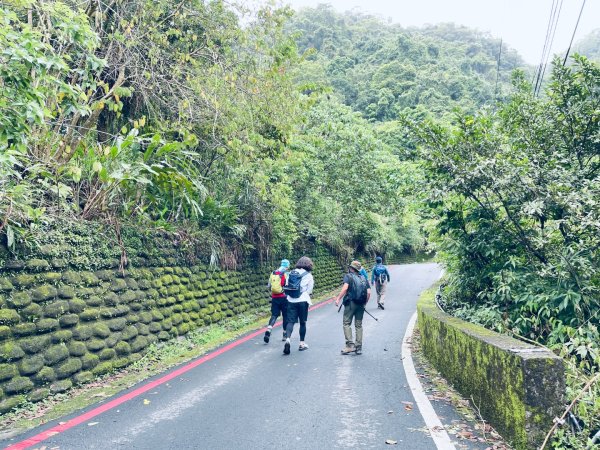 20250413 銀河洞越嶺步道-六分山-待老坑山-員潭子坑山2761183