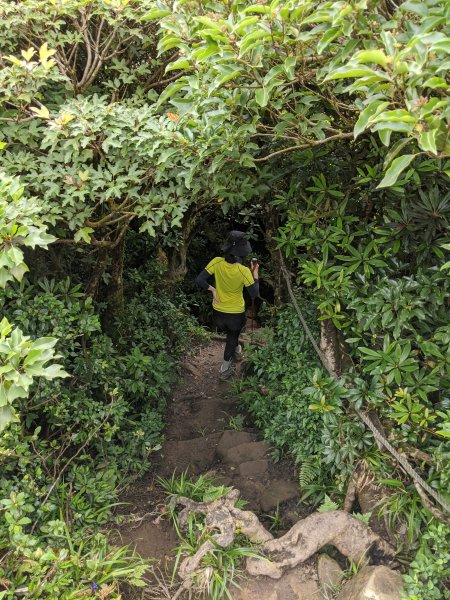 【屏東-小百岳】三大郊山 里龍山O走1025777