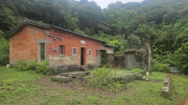 20250722三腦寮北峰-白雲里山-栳寮山(未果)-栳寮東峰2844085