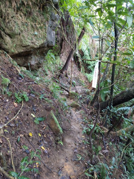 中央研究院--四獸山連走九峰856844