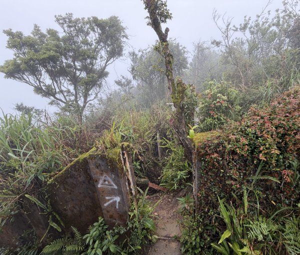 [微笑山線_第八段] 2026_0321 二格山系_二格山3020938