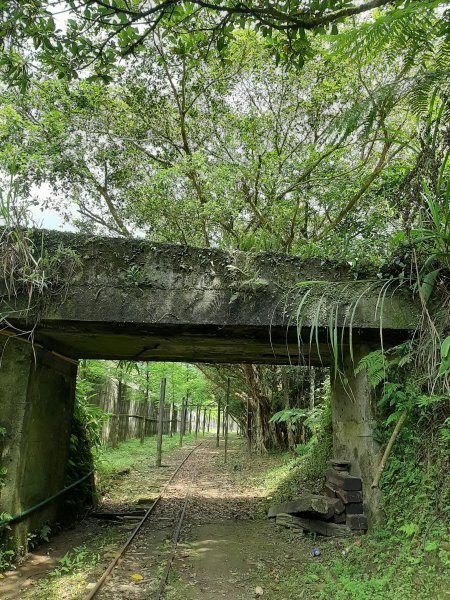 小百岳寶石〡No.10 五分山968807