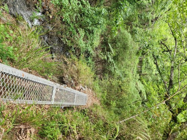 【百岳】志佳陽大山2779735