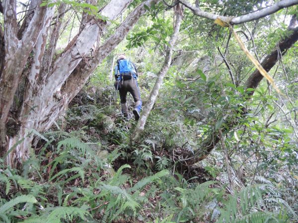 太魯閣布洛灣山月岩138984