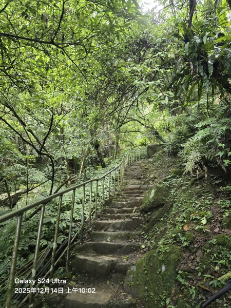 2025-12-14微笑山線：【二格山系】銀河洞越嶺段2962127