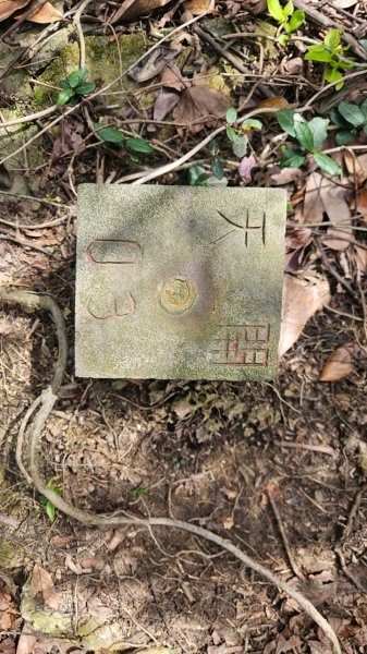 20250302玉田古道-瑪鋉三山出武聖街2725252