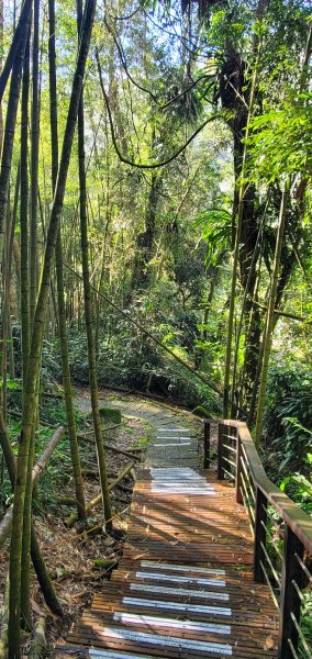 2025-01-30迷糊步道2704440