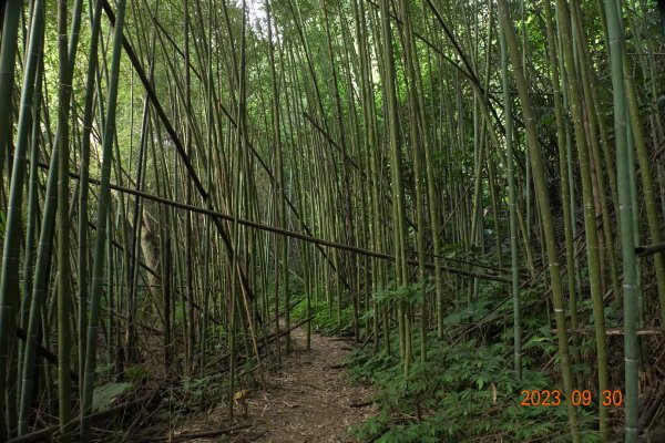 苗栗 大湖 玉女山、金童山、汶水山2301474