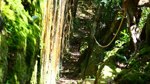 五堵獅頭山3043590