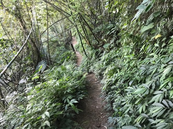 五寮尖上大風狂448878