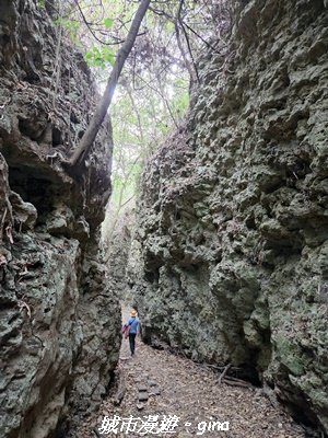 【高雄田寮】小百岳大崗山x大崗山磐龍峽谷步道3013146