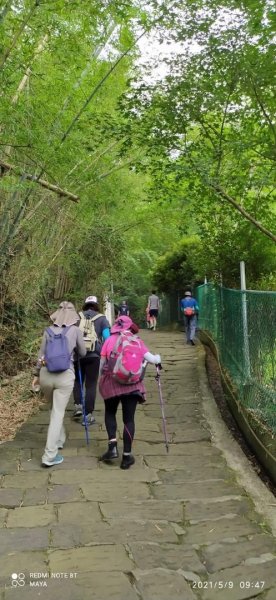 天上山（小百岳集起來）- 前半段路徑和靄可親、後半段面目猙獰1379319