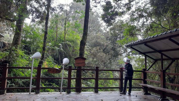 《南投》銀杏湖｜杉林溪青龍瀑布越嶺古道燕庵步道202210151880092