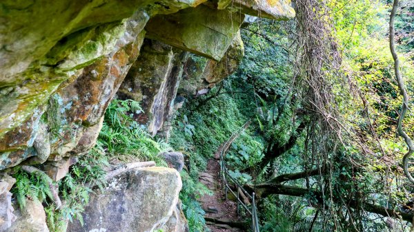 汐止二山三瀑(秀峰瀑布,,茄苳瀑布,大尖山瀑布)2858232