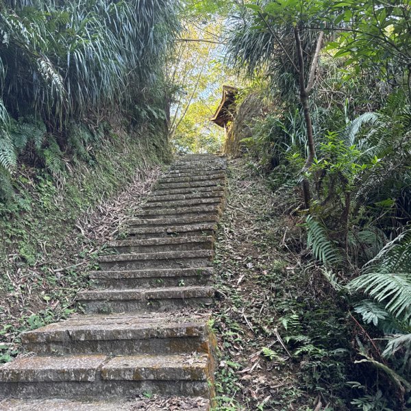 20260110 更寮古道(小百岳-土庫岳)2980774