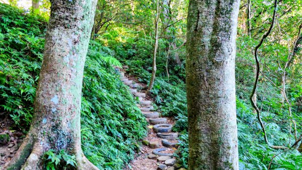 桃園石門山2916122