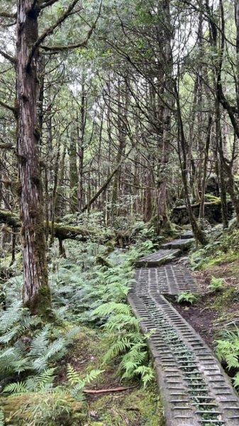 太平山翠峰湖環山步道2551629