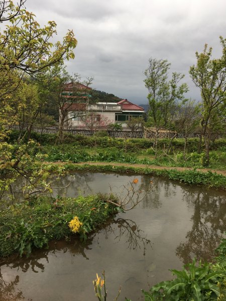 十八分水圳步道2191292