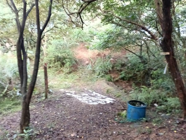 石碇南港區深按頭山+深按頭西峰+三層崎山+灰窯山+土庫岳東峰+土庫岳+山豬窟尖+更寮腳山+大豐山2976883