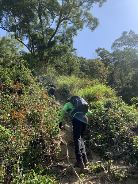 20250322南投松柏坑山-大棚山2745861