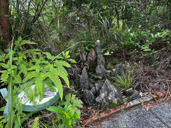 內湖鯉魚山之旅2811739