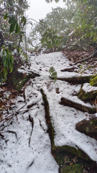 我的2025第一場雪，包場夫婦山，獨享差強人意的雪景&雲海。1/272699846