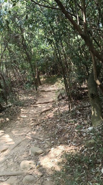 20251018 三義火炎山 南鞍古道 O型2920409