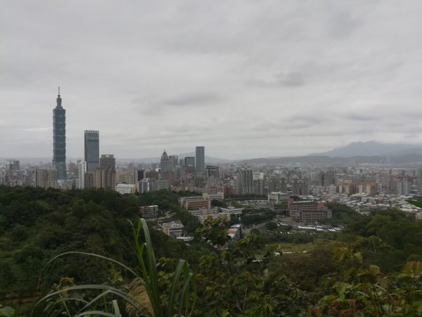 與母親爬山—虎山步道群/探訪秘境黃蟬園895166