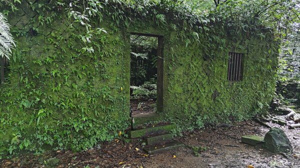 楊廷理古道2814591