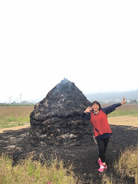 麻吉倆賞花海467787