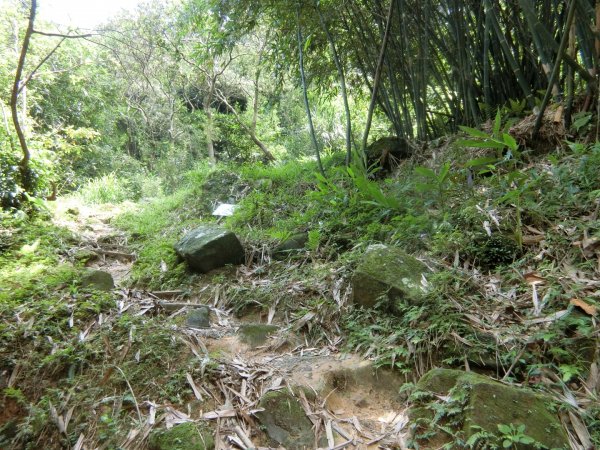 草嶺古道（福隆到大里）960316