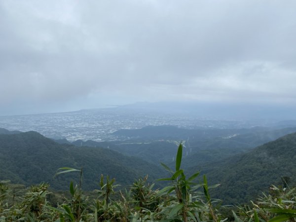 步道巡訪員 l 109年10月份聖母山莊步道巡訪1155773