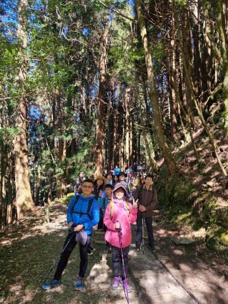 1141122特富野古道2945778