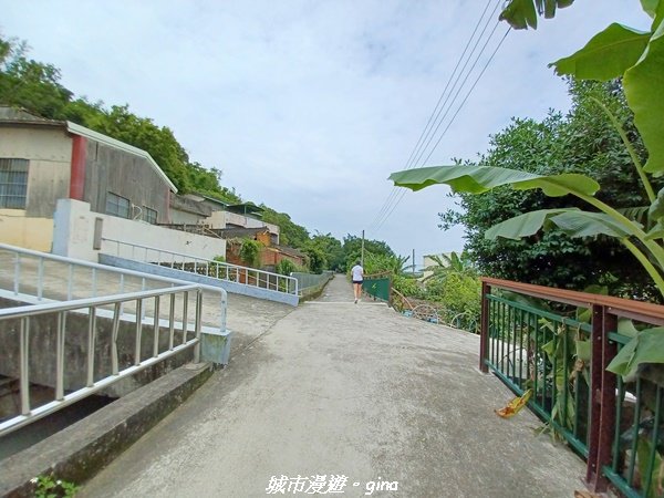 【台中外埔】沿著水圳散散步。 外埔水流東桐花步道1731456