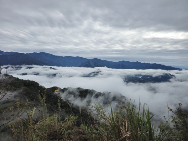 馬那邦山之雲海／雲瀑／楓紅／太陽琉璃光2676357