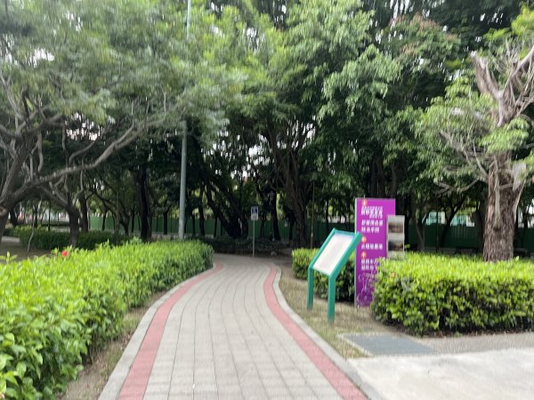 [全臺走路趣尋寶-25/100] 2024_0706_南瀛綠都心公園2546333